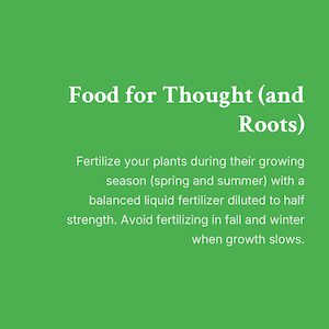 Example slide 5